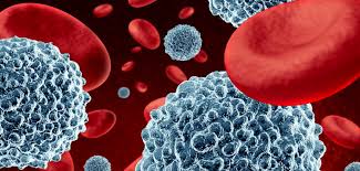 People With Blood or Immune System Issues not ot take hydroxychloroquine