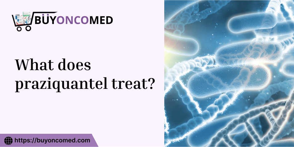 Praziquantel Treat For parasites