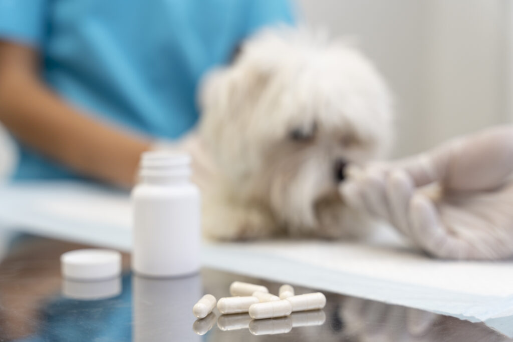 How Fenbendazole Works: The Science Behind The Dewormer