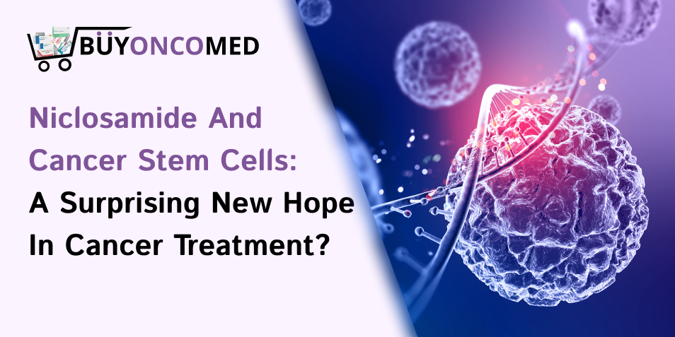 Niclosamide and Cancer Stem Cells: Research Insights