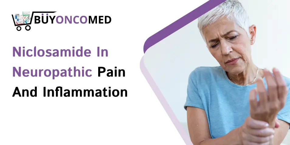Niclosamide in Neuropathic Pain and Inflammation